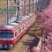 春に沿う赤い電車