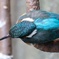 IMG_20180218_104011_828