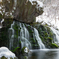 Winter moss