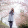 河津桜。