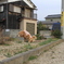 @2018-02-22