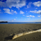 流木のある砂浜の風景