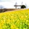 天空の花園