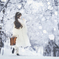 winter wonderland