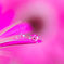 feeling of the spring