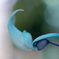 Turquoise MoonⅢ