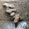 20180223 モートの下にムツ君。