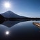 月光