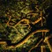 兼六園の夜