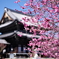 興正寺