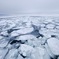 網走流氷