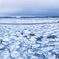 北海道 網走 流氷 
