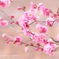 梅の花*