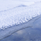 可憐な雪のはな