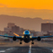 morning flight