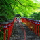 貴船神社 夏