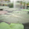 234B1B46-2591-412A-AC06-52B694806DE1