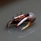 かかってこんかい　その7