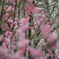 8NA_3025_00006