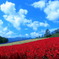 Furano