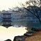 静かな浮見堂の朝