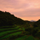 棚田の夕焼け