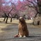 8D7F2B51-1340-4318-AC75-09421188D973