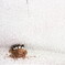 きをつけ！