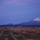 大山