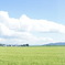 福井県坂井市