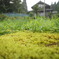 福井県池田町