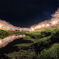 夜桜光小道