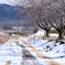 雪解け