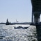 fullsizeoutput_9e70