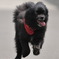 photo_758620