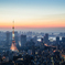 Tokyo Skyline At Dawn
