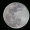 fullmoon