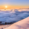 the morning light