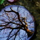 DSC01188