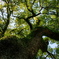 DSC01189