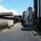 IMGP0010 (2)