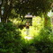 IMGP0007 (2)