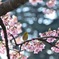 ひと休み