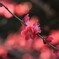 A76B21A8-6E13-43E8-9D90-2216DF603322