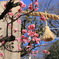 枚岡神社と梅