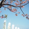 春空