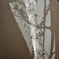 Shadowgraph
