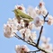 春の日差しの中で