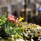 EF50mm F1.2L