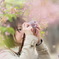 SAKURA・ポートレート